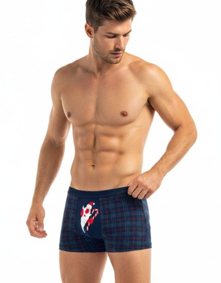 Боксер - Santa Claus